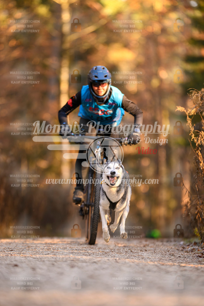 MompixPhotography_DM_AKDM_SO_2025_Bike-180 | PayLife
