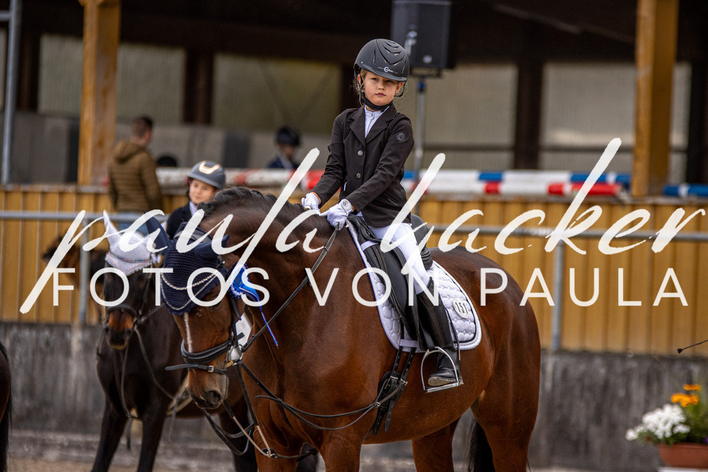 IMG_3618 | Erleben Sie dynamische Sport- und emotionale Tierfotografie in Süddeutschland mit Fotos von Paula. Spezialisiert auf Pferde- und Hundefotografie sowie Sportevents. Kontaktieren Sie mich für einzigartige und ausdrucksstarke Bilder Ihrer besonderen Momente. - Realisiert mit Pictrs.com