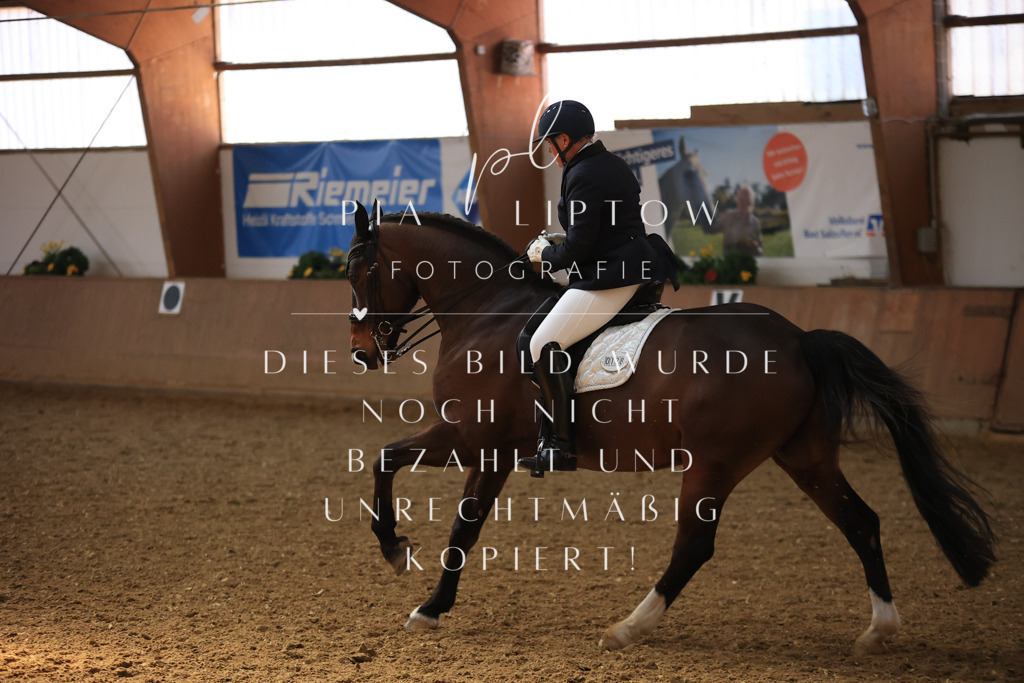 IMGT3605 | pl-fotografie