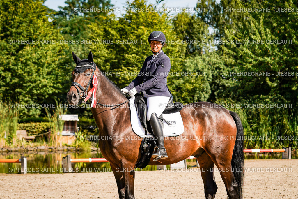 DSC00302 | Pferdegrafie