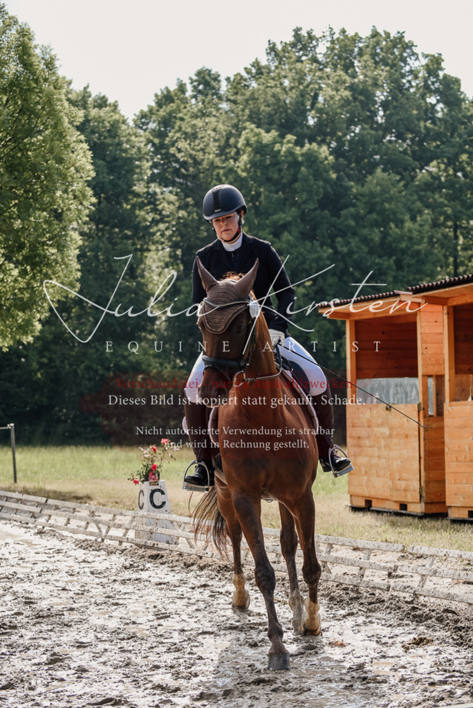 DSC_9244 | Pferde- und Turnierfotografie in Westsachsen. Pferdeportraits, Auftragszeichnungen und intuitive Kunst.