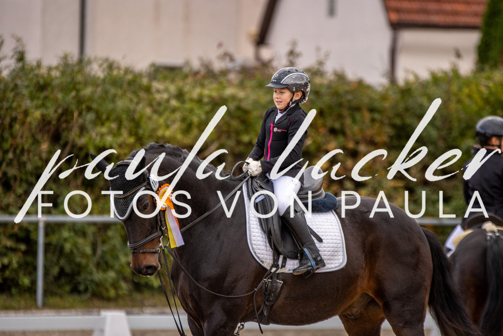 IMG_3602 | Erleben Sie dynamische Sport- und emotionale Tierfotografie in Süddeutschland mit Fotos von Paula. Spezialisiert auf Pferde- und Hundefotografie sowie Sportevents. Kontaktieren Sie mich für einzigartige und ausdrucksstarke Bilder Ihrer besonderen Momente. - Realisiert mit Pictrs.com