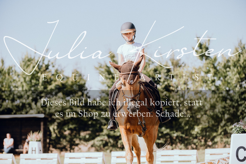 DSC_7219 | Pferde- und Turnierfotografie in Westsachsen. Pferdeportraits, Auftragszeichnungen und intuitive Kunst.