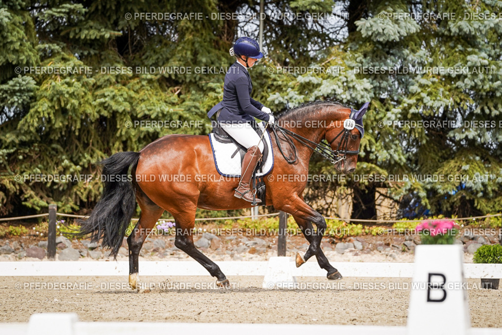 DSC05238 | Pferdegrafie