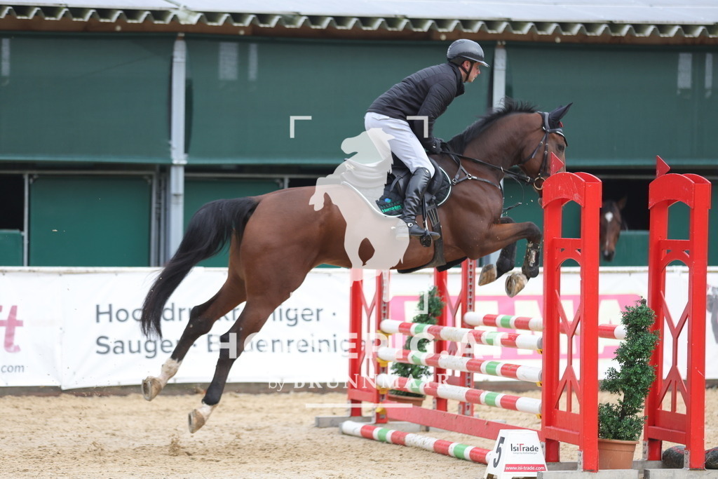 0P6A1347 | Willkommen bei Brunnmayr - Design & Fotografie – Ihrem Spezialisten für Reitturniere und Pferdeveranstaltungen in Oberösterreich, Salzburg und Bayern! Seit über 17 Jahren sind wir leidenschaftlich dabei.