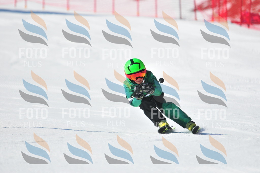 C2206 | holidayphoto