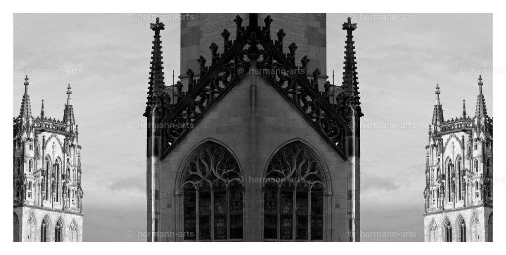 Hermann-Arts_Spiegelbilder_077 | Photo Foto Kunst Art schwarzweiss Bilder Rheine Münster Berlin Blumen 