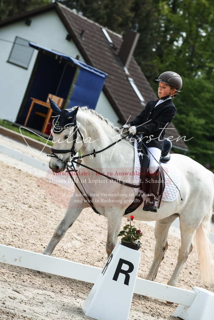 20230518_JK-Röhrsdorf-11-0241 | Pferde- und Turnierfotografie in Westsachsen. Pferdeportraits, Auftragszeichnungen und intuitive Kunst.