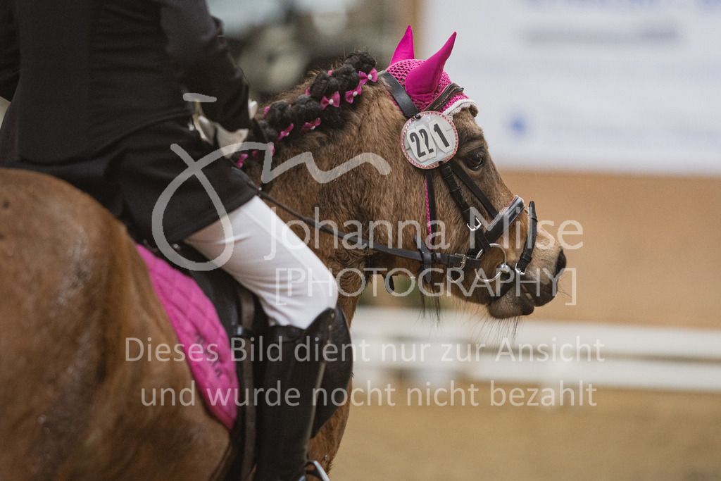 230319_HF-Schwm_Führzügel-200 | Herford-Schwarzenmoor, Dressurtag 2023, Führzügel-WB