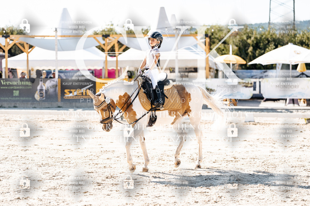 CK903289 | Turnierfotografie Pferdefotografie Trier Rheinland-Pfalz Pferdesport Reitsport Tierfotografie Sportfotografie Pferdevideo Pferdevideografie Equestrianvideography equestrianphotography  - Realisiert mit Pictrs.com