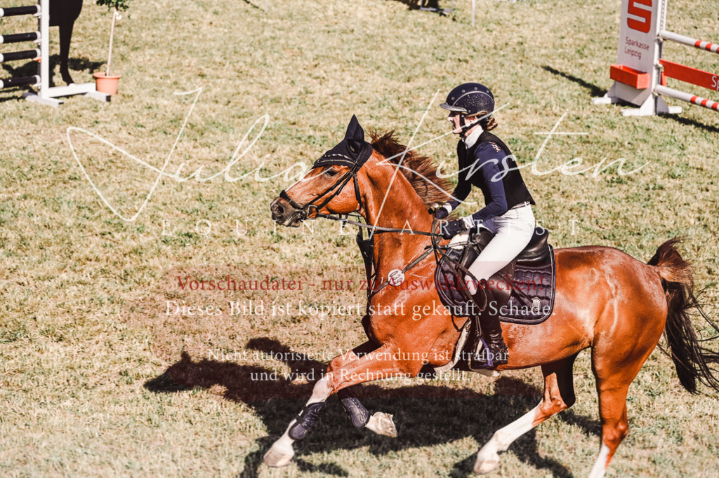 DSC_2322 | Pferde- und Turnierfotografie in Westsachsen. Pferdeportraits, Auftragszeichnungen und intuitive Kunst.