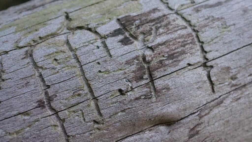 P1055667 | klausulrichmoeller