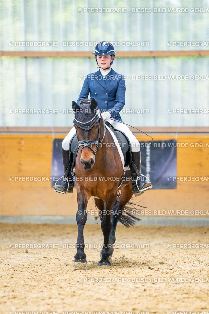 DSC08215 | Pferdegrafie