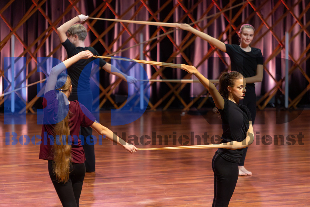 SES_ZWIBOC20250204-30 | bond - Realisiert mit Pictrs.com