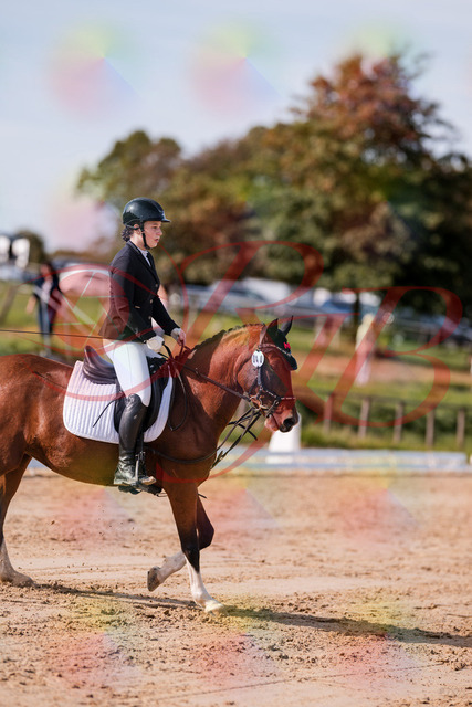 2026_10_03_Siefer-Hof_115436_Z81_93881530 | Professionelle Reitsport-, Turnier- und Eventfotografie von Robert Broda. Galerien mit ausgewählten und bearbeiteten Bildern direkt online ansehen und bestellen.