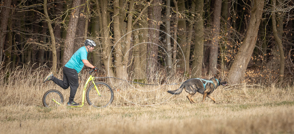 DV3A4865 | Hundefotografie, Tierfotograf, Pfotenfotografie, Fotoshooting Hund, Hunde Portrait, Hundesport, Hundeportraits, Heideshooting, Hunde, Sportfotograf, Hundefotograf, Turnierhundsport, THS,  - Realisiert mit Pictrs.com