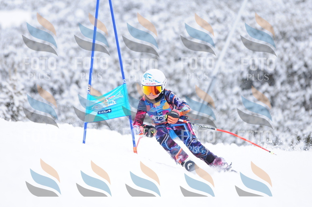 C4277 | holidayphoto