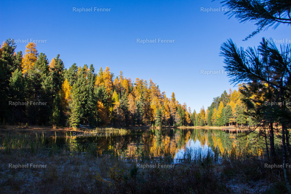 Lej Nair in St. Moritz | Erlebe eindrucksvolle Landschaftsfotografie aus dem Engadin und darüber hinaus. Raphael Fenner bietet zudem professionelle Fotoaufträge für Hochzeiten, Porträts und Unternehmen. Jetzt entdecken und inspirieren lassen!