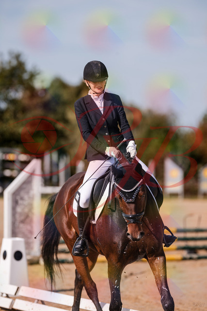 2026_10_03_Siefer-Hof_125744_Z81_46606801 | Professionelle Reitsport-, Turnier- und Eventfotografie von Robert Broda. Galerien mit ausgewählten und bearbeiteten Bildern direkt online ansehen und bestellen.