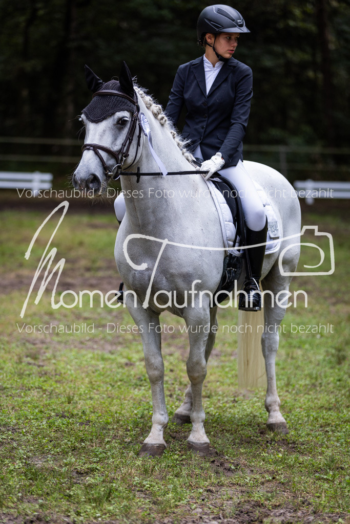 HB-Dressur-WB-124 | MomenTaufnahmen Pferdesportfotos