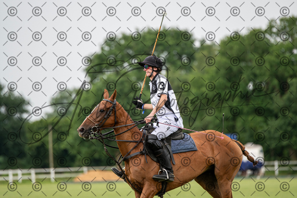 POL_2518 | andre_photographic