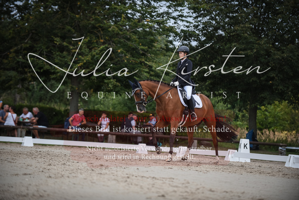 DSC_8414 | Pferde- und Turnierfotografie in Westsachsen. Pferdeportraits, Auftragszeichnungen und intuitive Kunst.
