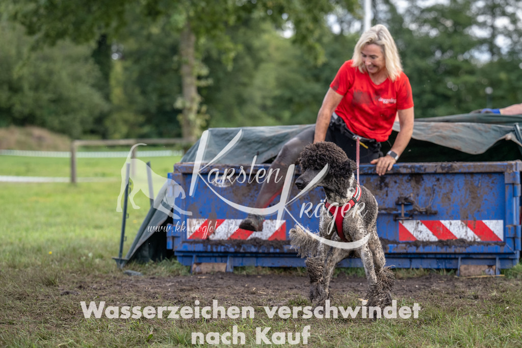 1221_ZZ90159 | kk-dogfotos