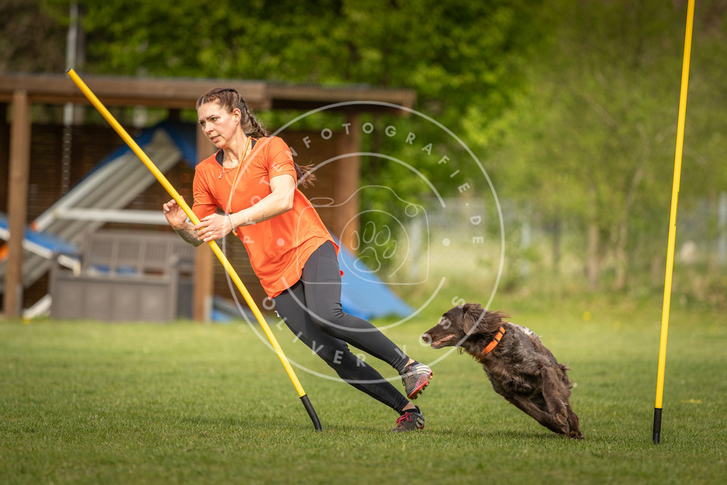 Pfotenfotografie_DV3A5433 | Hundefotografie, Tierfotograf, Pfotenfotografie, Fotoshooting Hund, Hunde Portrait, Hundesport, Hundeportraits, Heideshooting, Hunde, Sportfotograf, Hundefotograf, Turnierhundsport, THS,  - Realisiert mit Pictrs.com