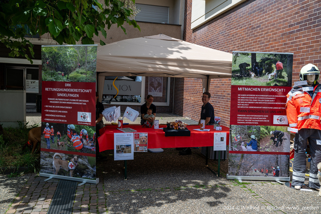 114_DSC_5633 | <Fotografie> <Video> <Film> <Winfried Bischoff> - Realisiert mit Pictrs.com