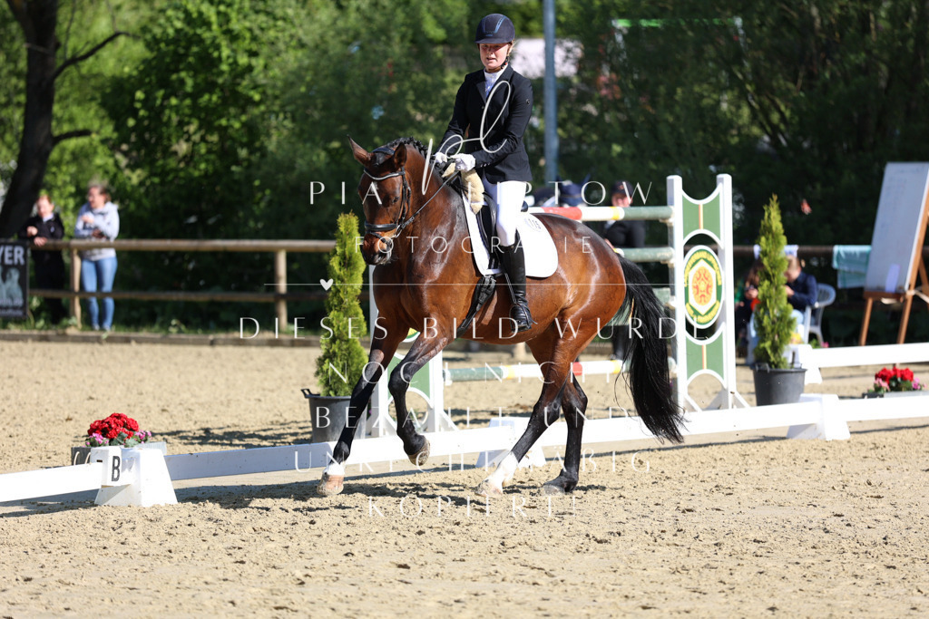 IMGT9860 | pl-fotografie