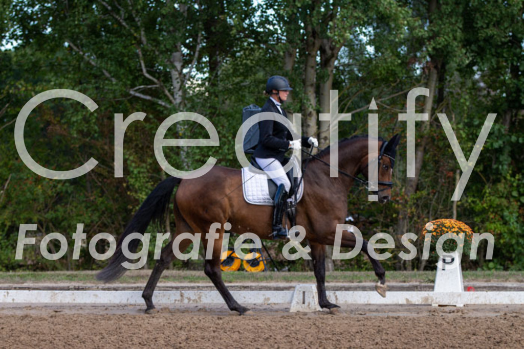 IMG_3891 | Creatify Fotografie