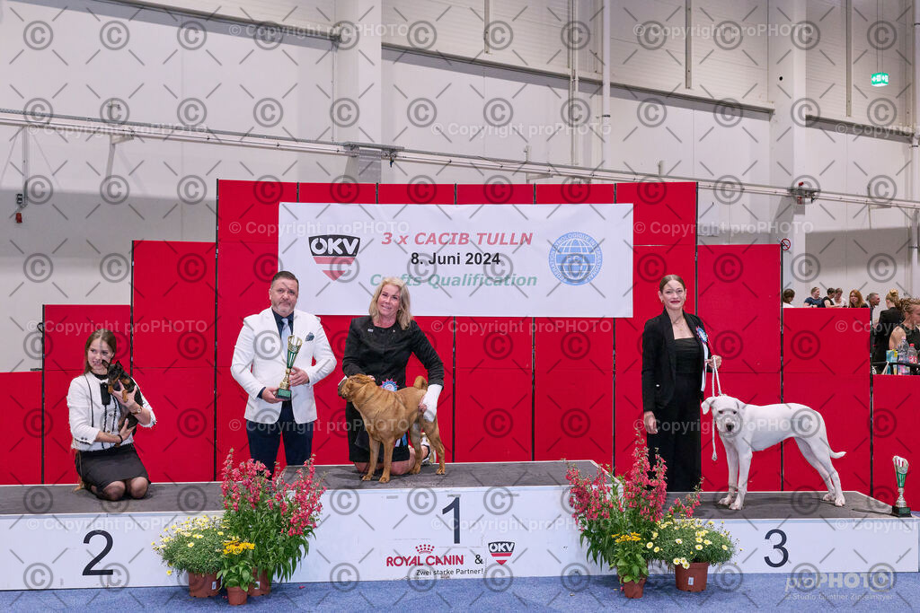 202406_ÖKV-IHA-Tulln24_NZ9_8613 | proPHOTO - Realisiert mit Pictrs.com