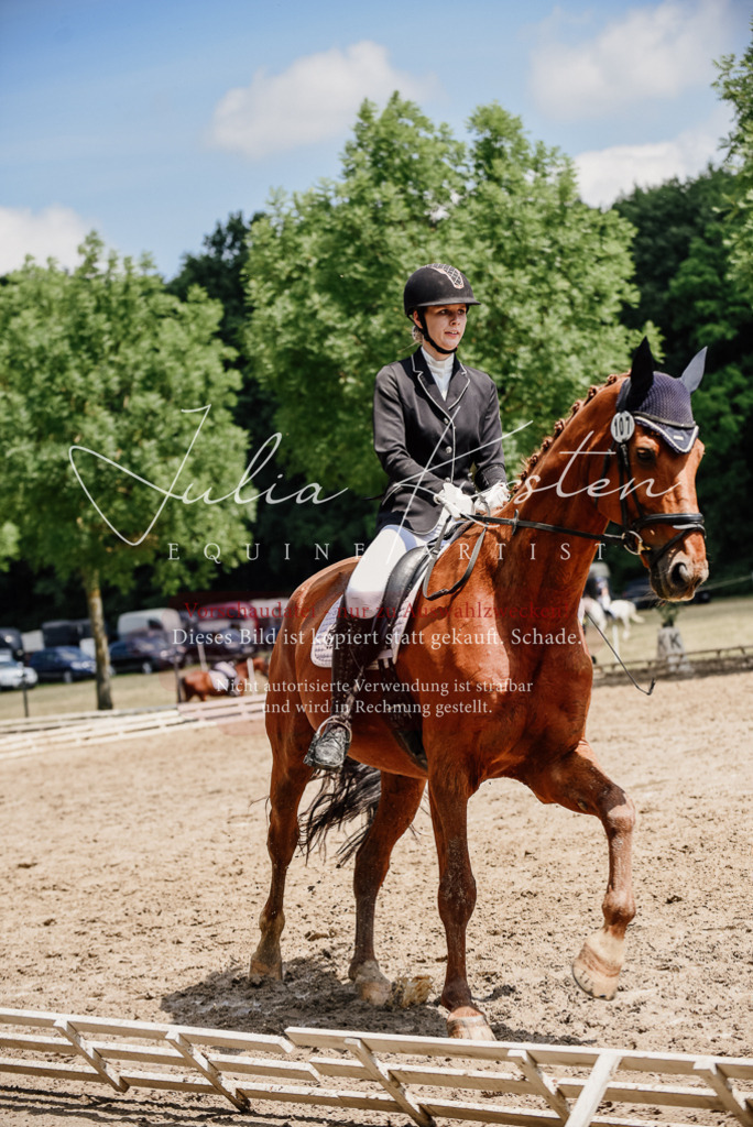 DSC_1572 | Pferde- und Turnierfotografie in Westsachsen. Pferdeportraits, Auftragszeichnungen und intuitive Kunst.