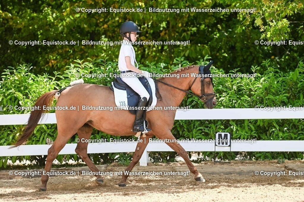 20230715_09_Dressur-WB_0386 | equistock