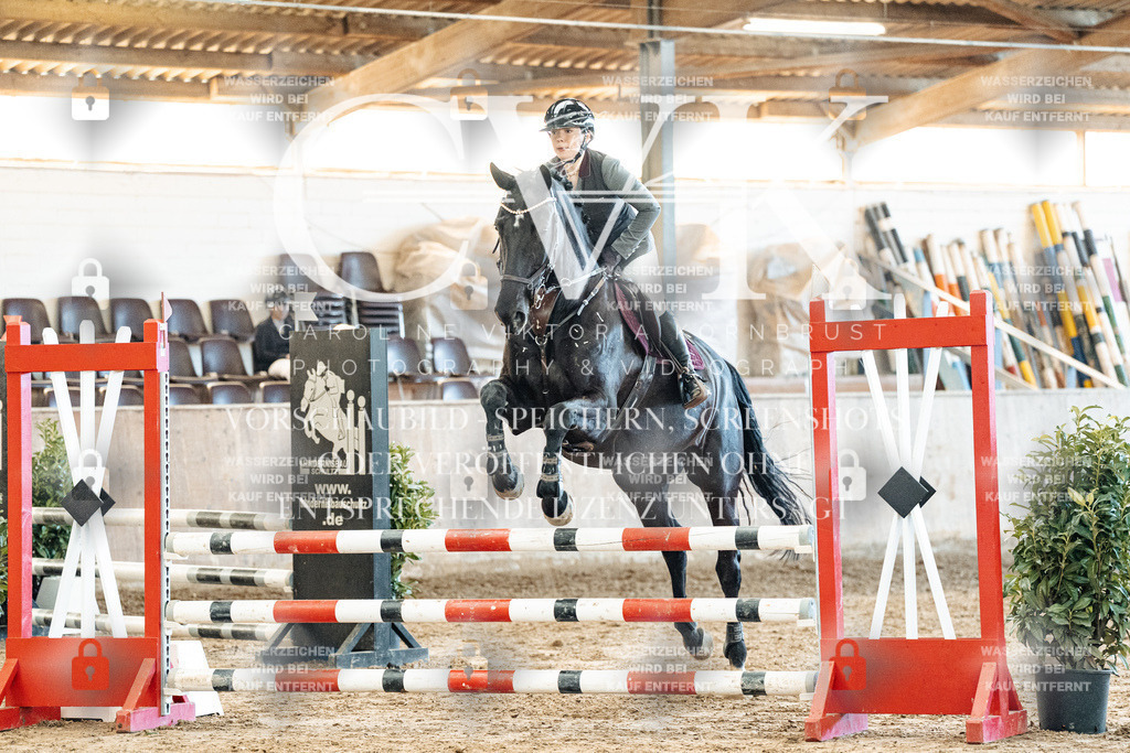 CK904694 | Turnierfotografie Pferdefotografie Trier Rheinland-Pfalz Pferdesport Reitsport Tierfotografie Sportfotografie Pferdevideo Pferdevideografie Equestrianvideography equestrianphotography  - Realisiert mit Pictrs.com