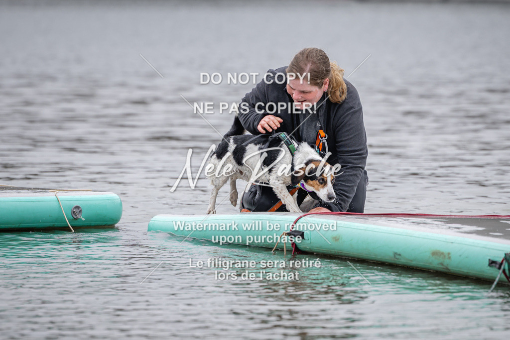 nelerasche_Hulsbeek_Sa1330-1430_539 | nelerasche