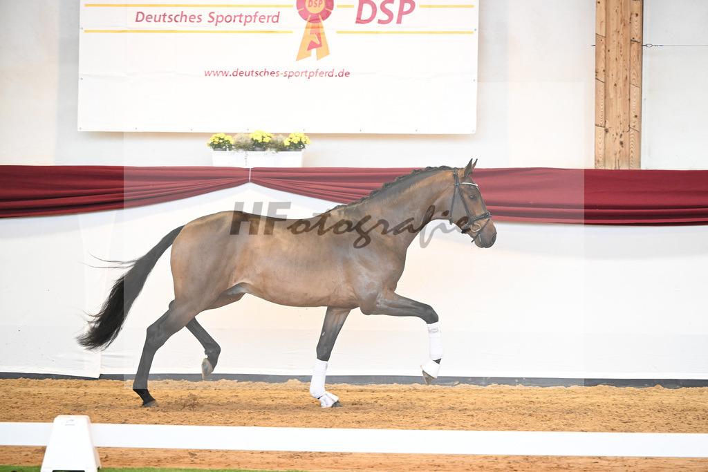 Kat-Nr. 39 v. Jovian_Dahlhoff_66221008 | hf-fotografie - Realisiert mit Pictrs.com