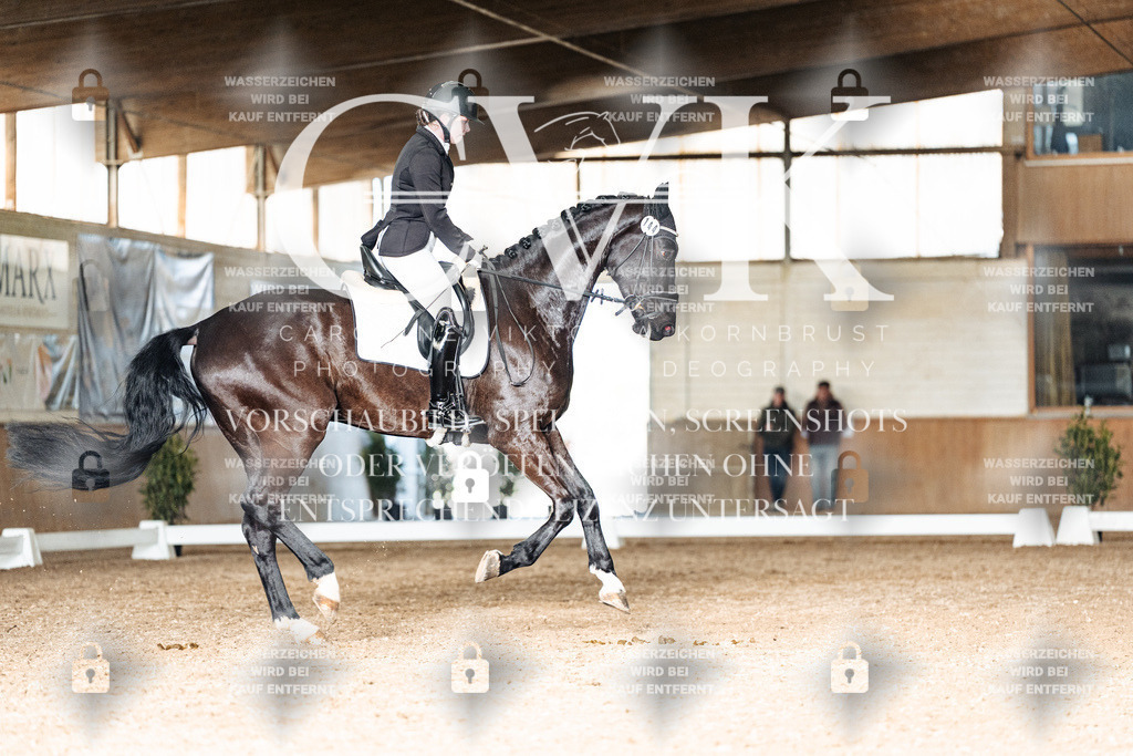 CK902880 | Turnierfotografie Pferdefotografie Trier Rheinland-Pfalz Pferdesport Reitsport Tierfotografie Sportfotografie Pferdevideo Pferdevideografie Equestrianvideography equestrianphotography  - Realisiert mit Pictrs.com
