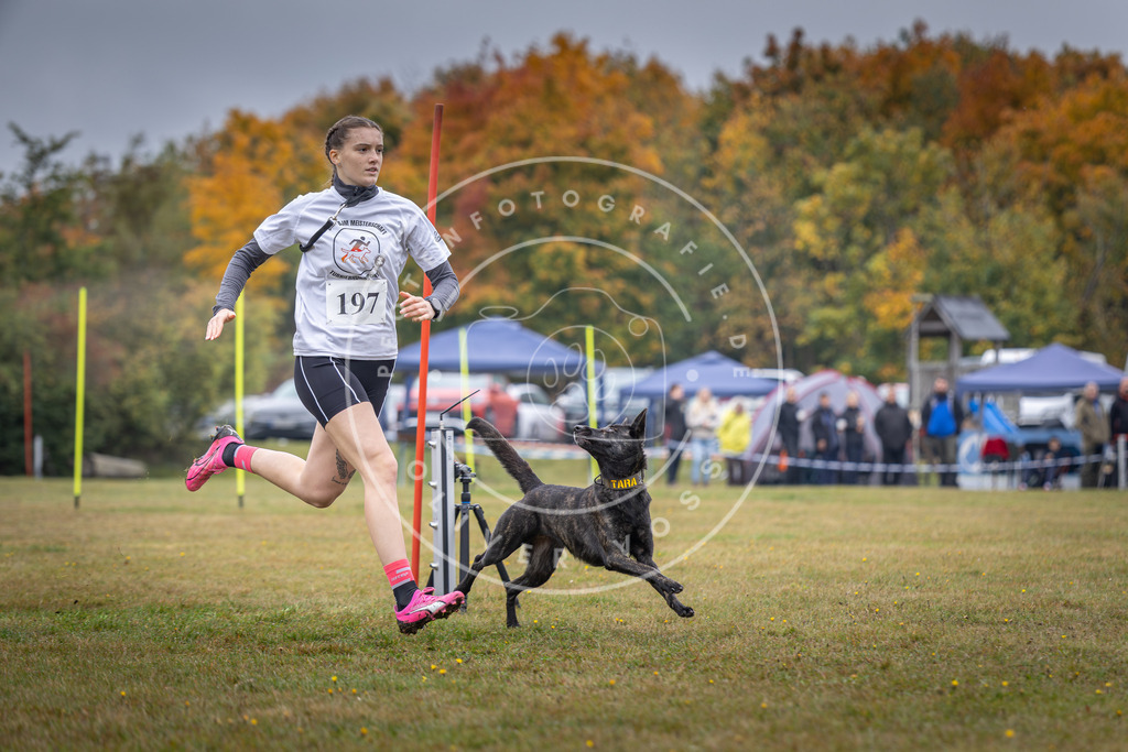 Pfotenfotografie_DV3A1114 | Hundefotografie, Tierfotograf, Pfotenfotografie, Fotoshooting Hund, Hunde Portrait, Hundesport, Hundeportraits, Heideshooting, Hunde, Sportfotograf, Hundefotograf, Turnierhundsport, THS,  - Realisiert mit Pictrs.com