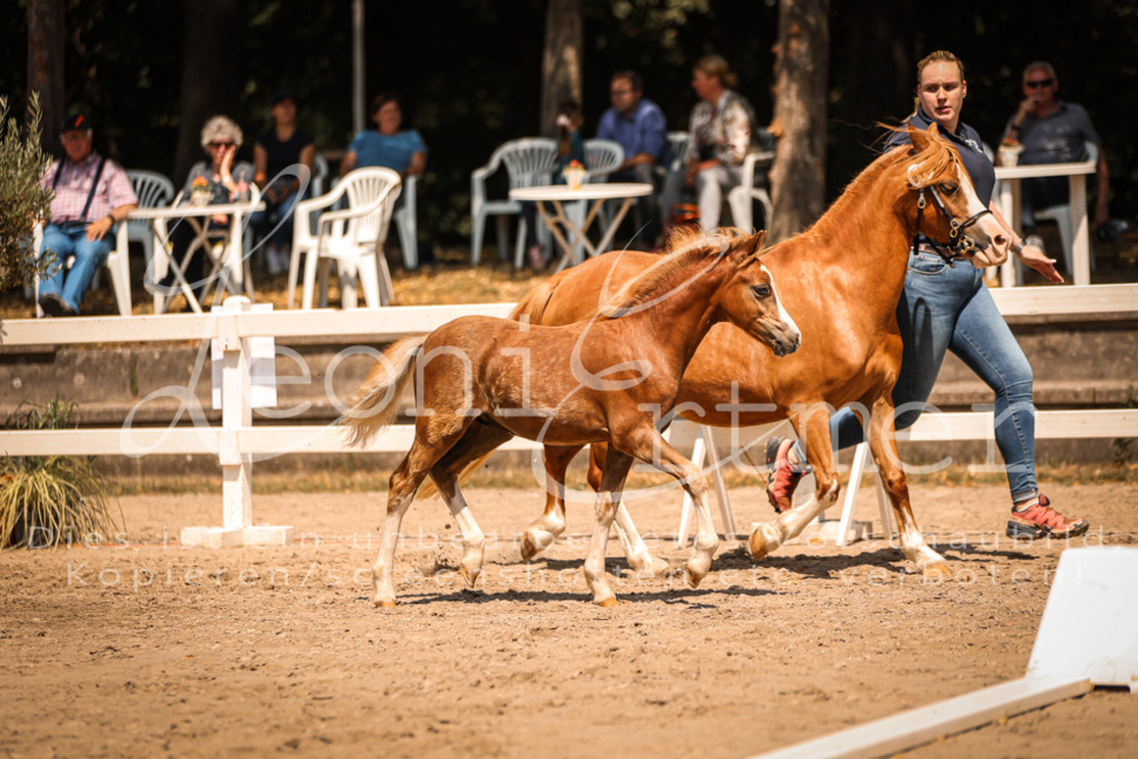04.DoWP00008 | Leoni Ertmer Photography - Realisiert mit Pictrs.com