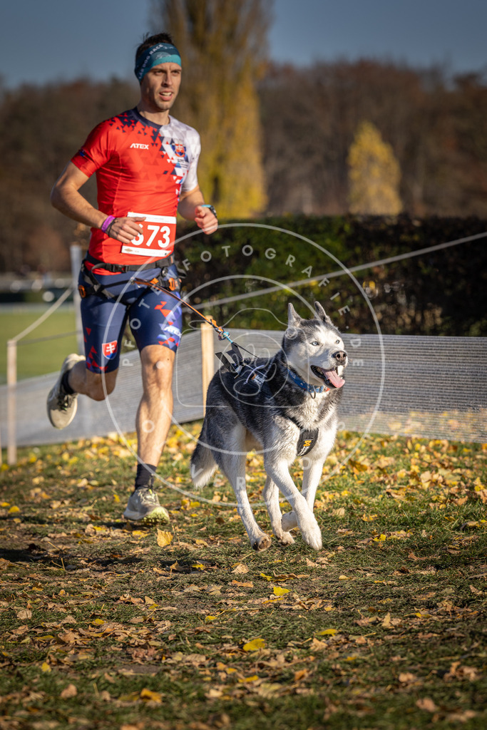 CaniXpix_DV3A0929 | Hundefotografie, Tierfotograf, Pfotenfotografie, Fotoshooting Hund, Hunde Portrait, Hundesport, Hundeportraits, Heideshooting, Hunde, Sportfotograf, Hundefotograf, Turnierhundsport, THS,  - Realisiert mit Pictrs.com