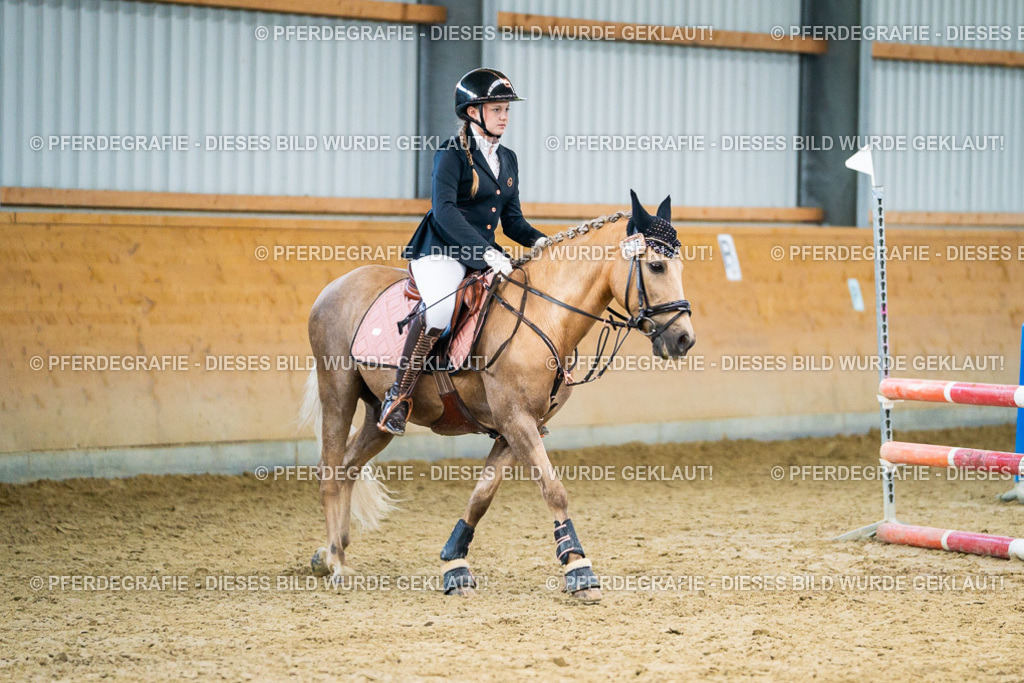 DSC00654 | Pferdegrafie