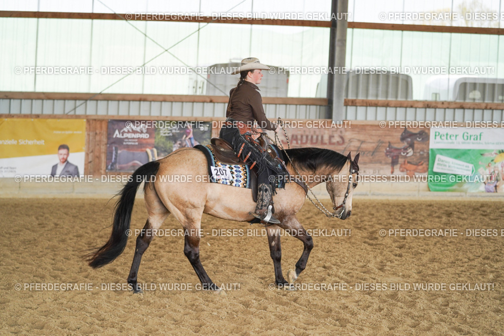 DSC00175 | Pferdegrafie