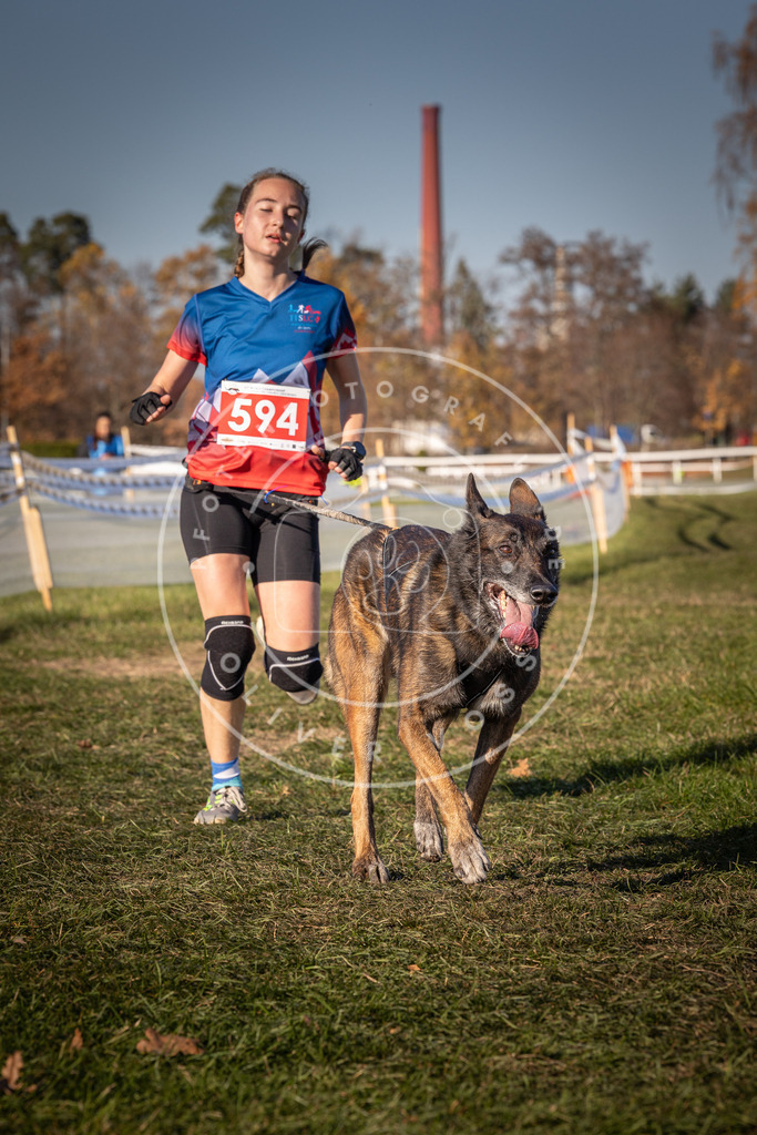 CaniXpix_0L8A8458 | Hundefotografie, Tierfotograf, Pfotenfotografie, Fotoshooting Hund, Hunde Portrait, Hundesport, Hundeportraits, Heideshooting, Hunde, Sportfotograf, Hundefotograf, Turnierhundsport, THS,  - Realisiert mit Pictrs.com