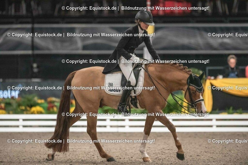 20231115_20_Dressur_Kl-S++_0567_TOMsPiC | Foto: Thomas Hartig