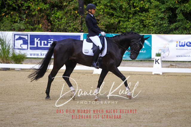 DKP40934 | Turniersportfotografie; Pferdefotografie; Dressurfotografie