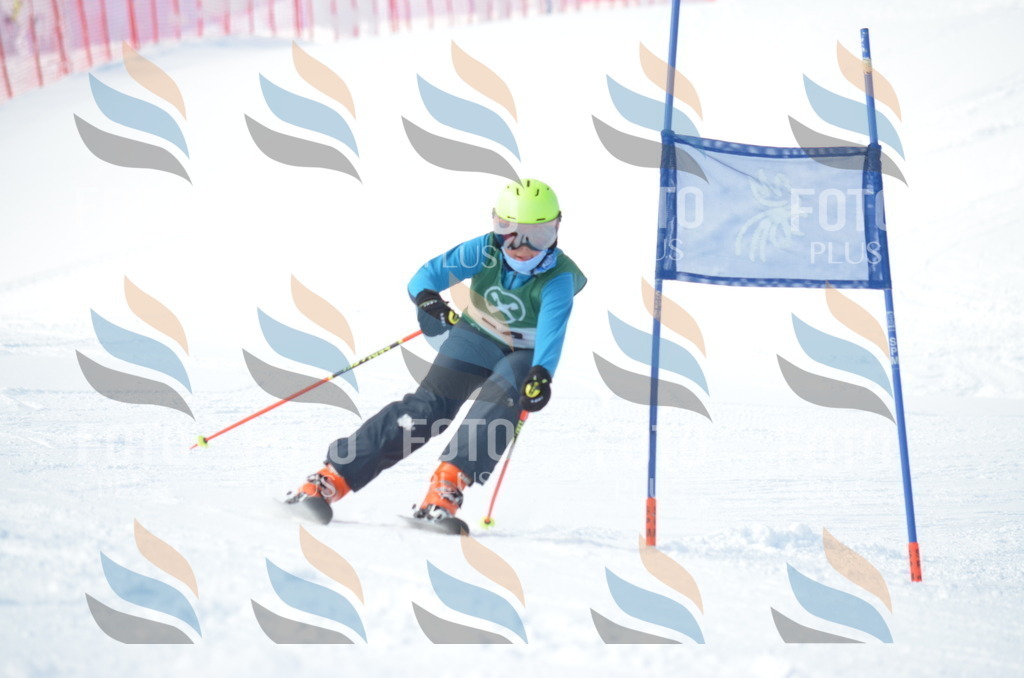 D8814 | holidayphoto