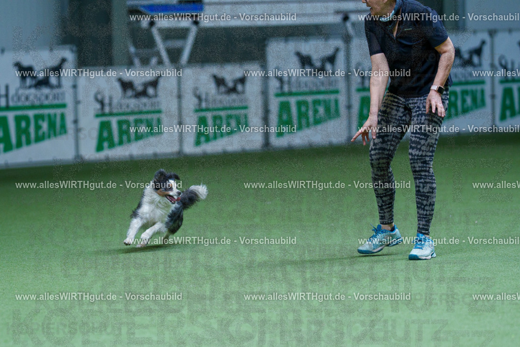 @allesWIRTHgut_Tierfotografie - www.allesWIRTHgut.de - 2604251300-7R503345 | Professionelle Tierfotografie in Mönchengladbach von Daniel Wirth (allesWIRTHgut). Liebevolle & natürliche Bilder von Hunden & Katzen für unvergessliche Erinnerungen.