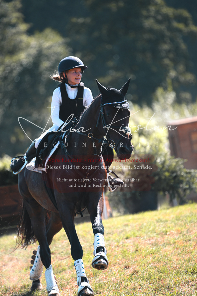 DSC_8019 | Pferde- und Turnierfotografie in Westsachsen. Pferdeportraits, Auftragszeichnungen und intuitive Kunst.