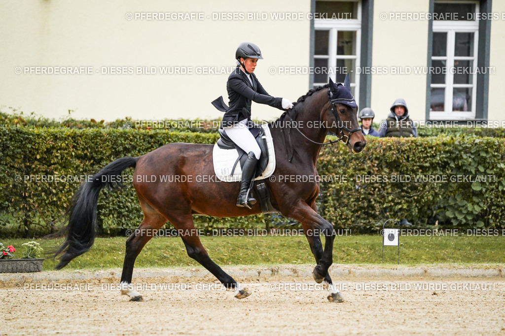 DSC06380 | Pferdegrafie